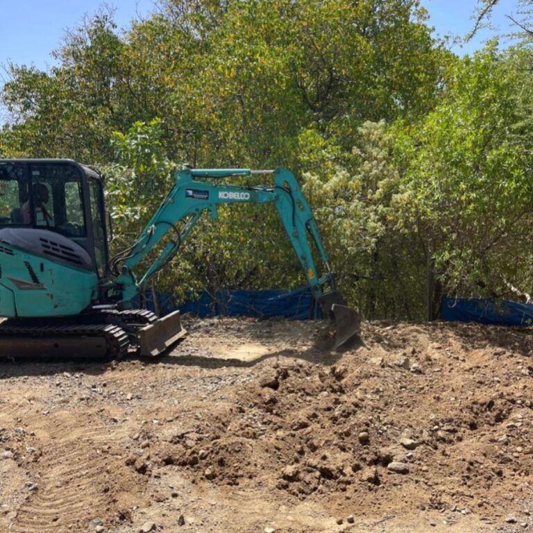 Ameublissement des sites de ponte