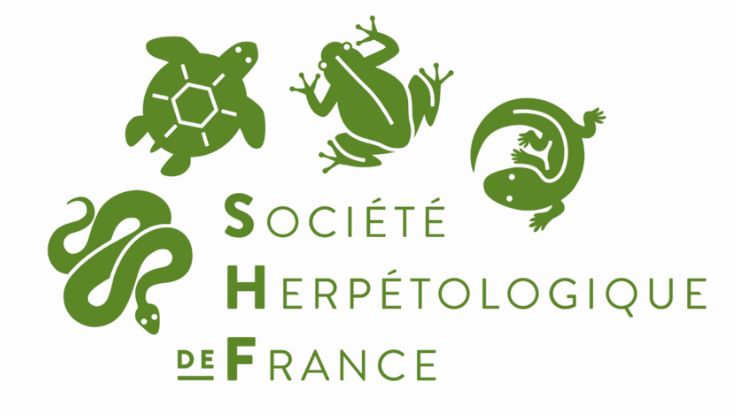 Lettre de la SHF – Mission 2025