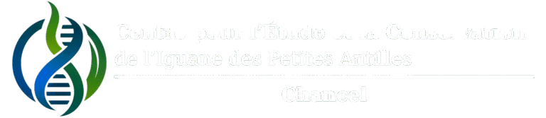 CECIPAC, Centre pour l'Étude et la Conservation de l'Iguane des Petites Antilles Chancel