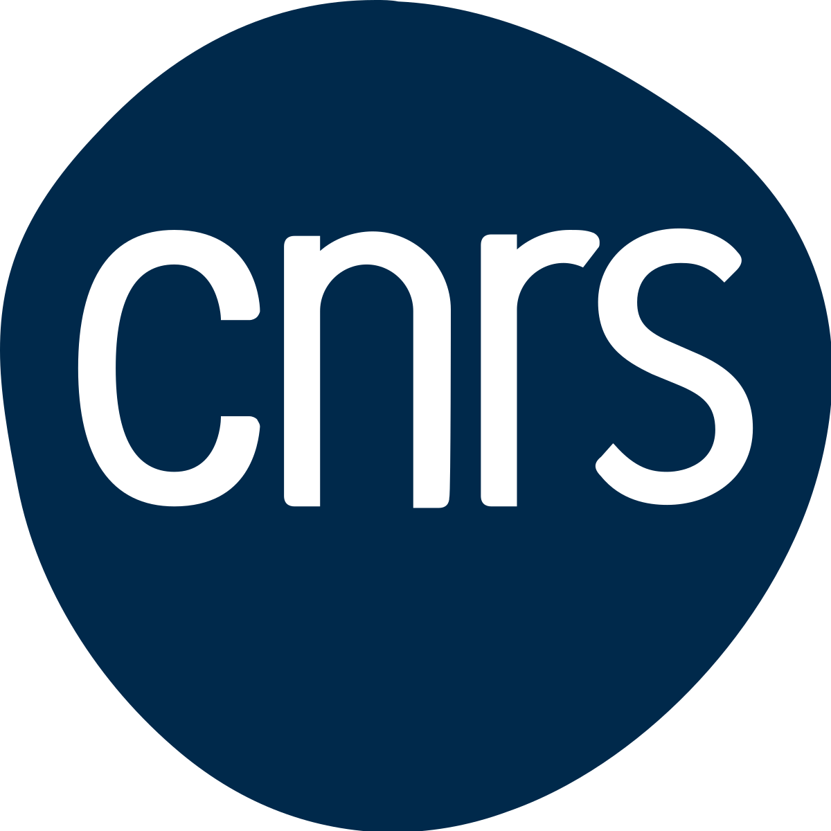 Logo CNRS, partenaire scientifique du CECIPAC
