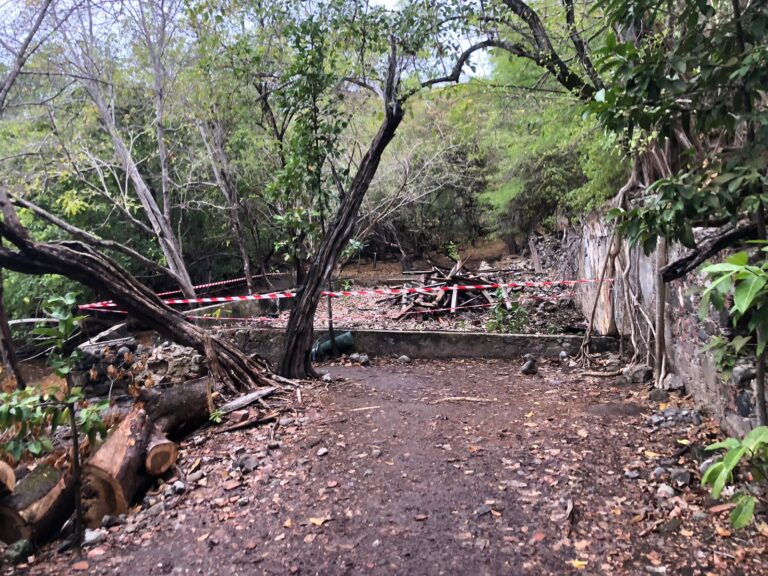 Un chantier de renaturation sur l&rsquo;îlet Chancel