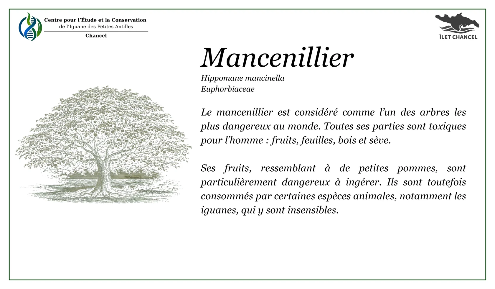 Panneau Le mancenillier - Îlet Chancel